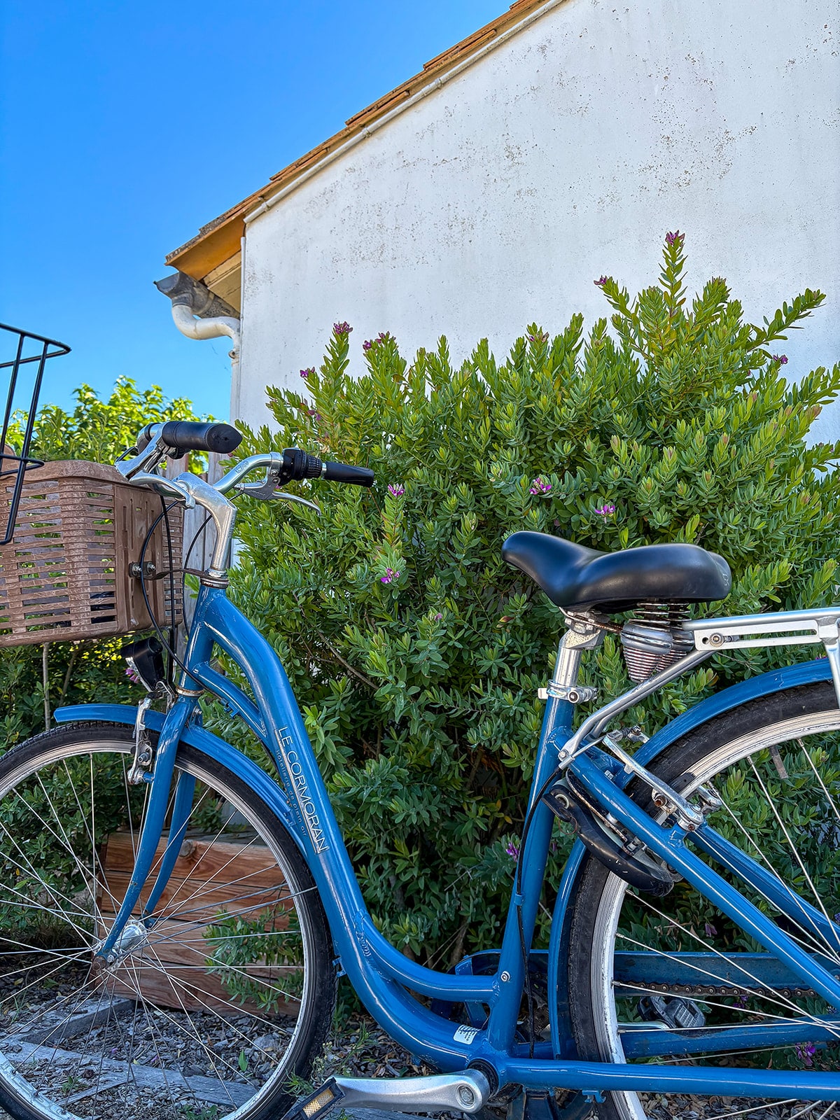 Vélo ile de Ré